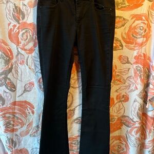 BKE Black Boot Cut Jeans Sleek and Versatile